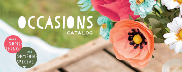 2014-occ-catty-header